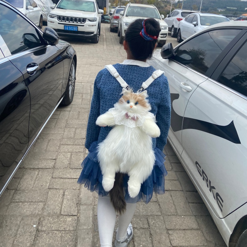 2026 New In Stock Ragdoll Cat  - Travel Accessories Gift Ideas ulasan dan harga
